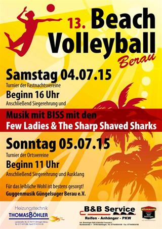 Beachvolleyballturnier 2015