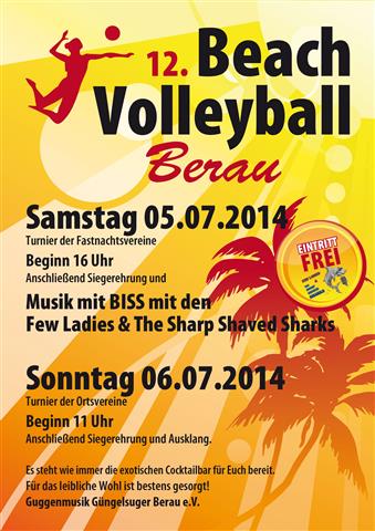 Beachvolleyballturnier 2014